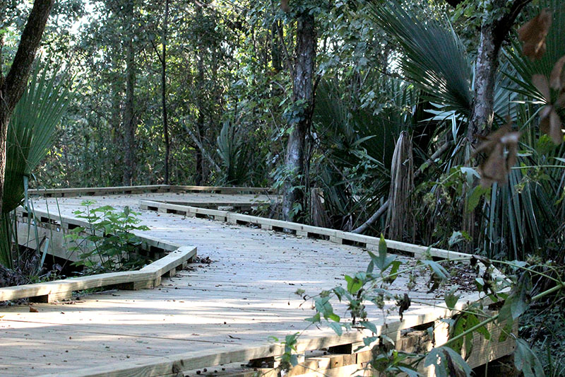 Wetland Watchers Park