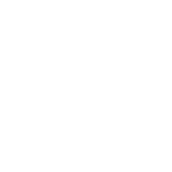 Microchip Icon