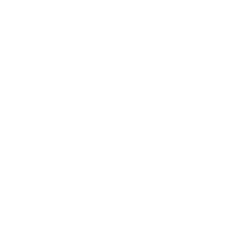 Audit Icon