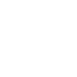 Mosquito Icon