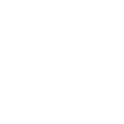 Statistic Icon