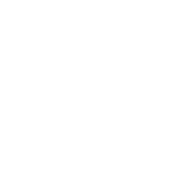 Search 2 Icon